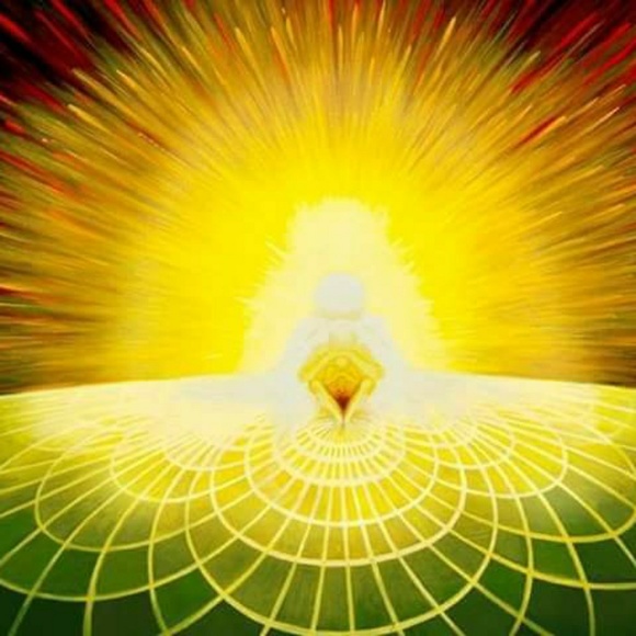 Meet your Posher, Dana - Picture 1 of 1